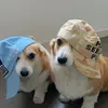 @7580270694430655501