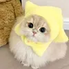 @rehysgqfh0y