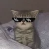 @land6699