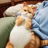 @7586867559338640439