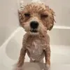 @7591280484623549495