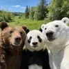 @happymario41