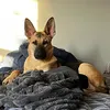 @7597464507543405582