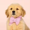 @7598927777673151543