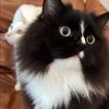 @ORA