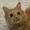 @7609852070824887310