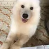 @7612647013783651342