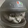 @7614567315904807950