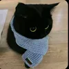 @7615902073800082445