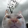 @katelynjohnson4526