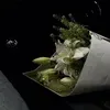 @katiesullivan6178