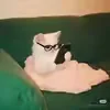 @user472185730411