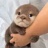 @Huaa8915