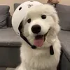 @7620016158926488607