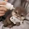 @jaydavis5398s1pi