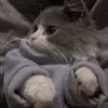 @7620017983112856607