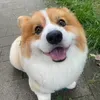 @7621762909345055757