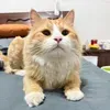 @7627151570526716942