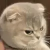 @7627748629172405261