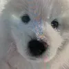 @7627797596070200334