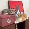 @7628132677413880846