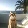 @7628820903598162957