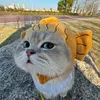 @meowtiful7