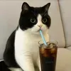 @7633706412069274637