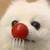 7634064963228992525