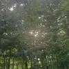 @goodgadget0