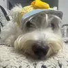 @7636616737992213517