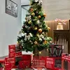 @7636756289503675405