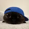 @7637787460554556429