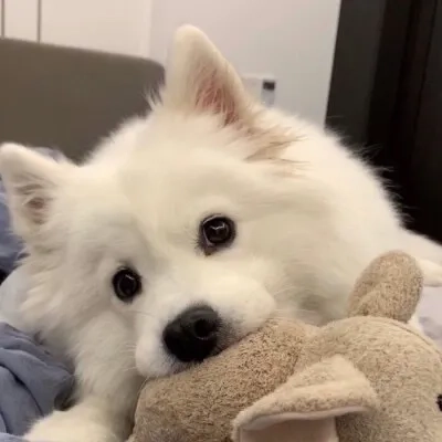 @fudsss6