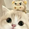 @7642650261442462734