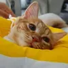 @7643718092590236686