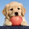 @7643882560536855583