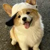 @7644090965012022286