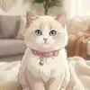 @tayudoe