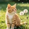 @7647784030084563981