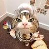 @7650490102976414734