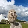 @7652246737935139854