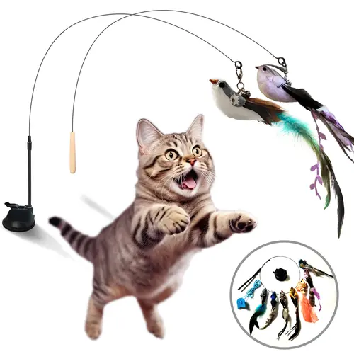 10 Set Cat Feather , Self Play Hanging Toy, Wand Toy, Interactive Bird  For Cat  Dancer, Suction Cup , Sticky, Rope and Wooden
