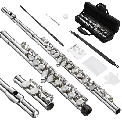 POGOLAB Flutes Closed Hole C 16 Keys Flute Instrument for Beginner Kid Orchestra School Band Student with Flute Carry Bag Strap Probe Rod Gloves Grease Adjustment Screwdriver Cleaning Kit, Back to School