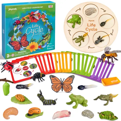 JoyCat Wooden Life Cycle Educational Science Kits - Insect Caterpillar-to-Butterfly, Ladybug, Bee, Tadpole-to-Frog Toys for Preschool Kids Learning Activities