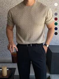 Summer Clothes Men's Plain Round Neck Cable Knit Top, Slim Casual Crew Neck Knitwear for Spring & Summer, Menswear for Daily Wear, National Day Clothing
