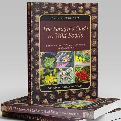 The Forager's Guide to Wild Foods | High-Quality Images & Maps for Plant Identification | Guidelines, Recipes, Full Page Photos, Medicinal Uses Books Growing