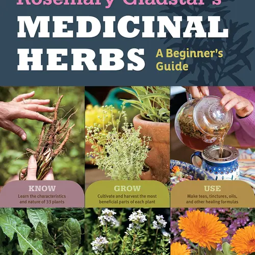 Rosemary Gladstar's Medicinal Herbs: A Beginner's Guide: 33 Healing Herbs to Know, Grow, and Use -- Rosemary Gladstar - Paperback