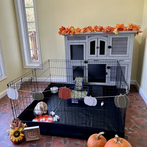 Aivituvin-AIR71 Small Metal Pet Playpen with Floor & Pad - Puppy Cage, Bunny Enclosure, Guinea Pigs Habitat, Dog Crate, Puppy Playpen, Metal Frame, Waterproof