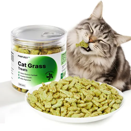 PawFirst Cat Treats Cat Grass for Hairball Control, Low-Temperature Baking Natural Salmon & Catnip Flavor Indoor Kitten Training Biscuits Snacks for Teeth Cleaning XX oz #SummerVibes #petlovers